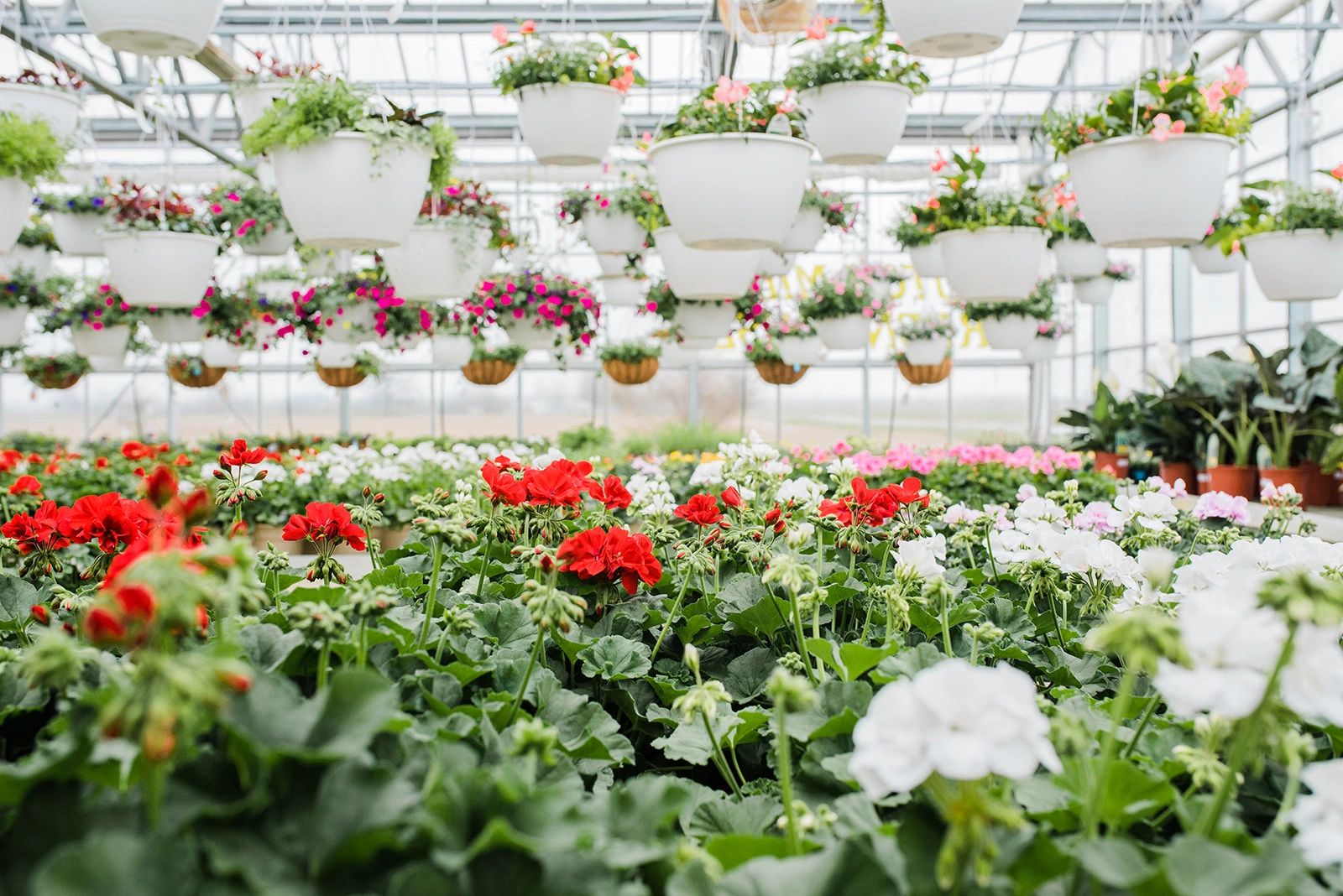 Dutch Mill Greenhouse Garden Supplies in Marysville Dublin, Ohio